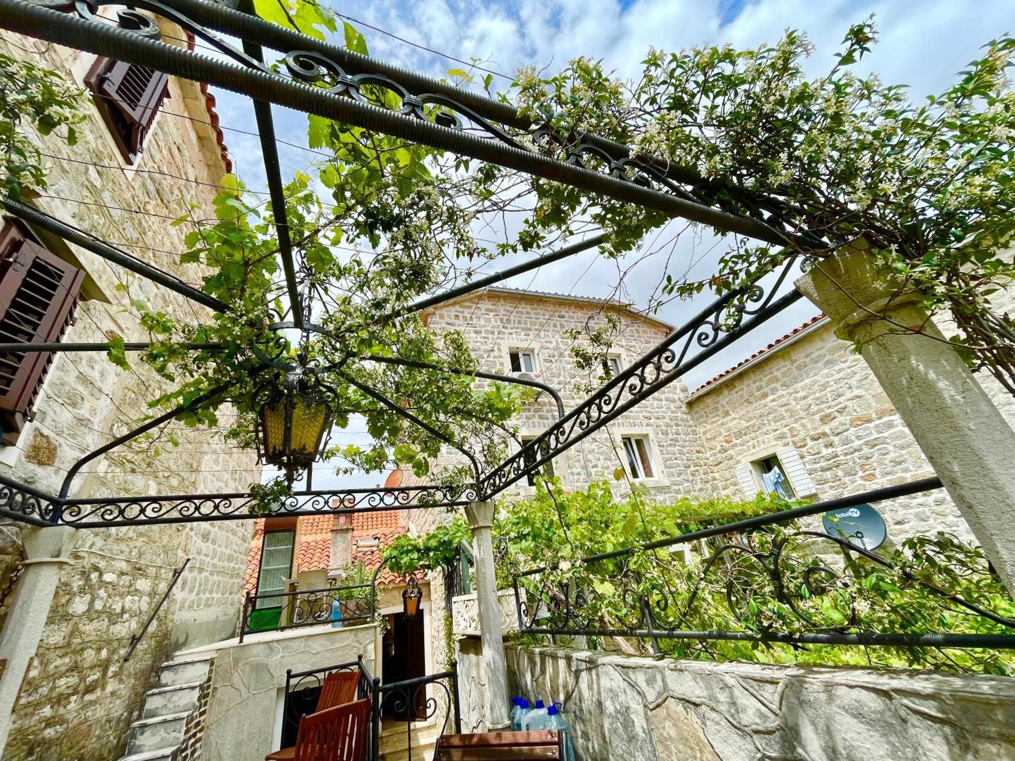 Old Town House With Private Garden Apartment *